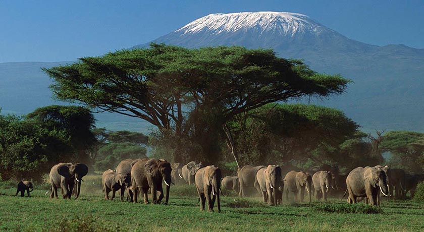 3 Days/ 2 Nights Jambo Kenya Amboseli Park by Road